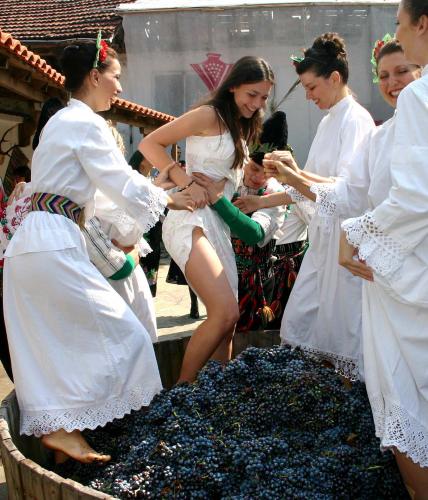 Праздник сбора урожая 2012!